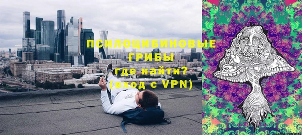 прущая мука Арсеньев