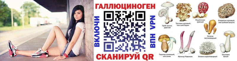 цена наркотик  Мурино  Псилоцибиновые грибы Cubensis 