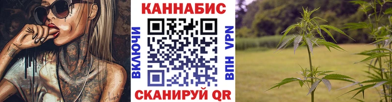 Каннабис сатива  Мурино 